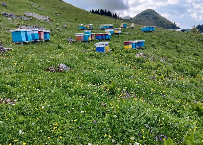 Katun Siska Medna Dolina